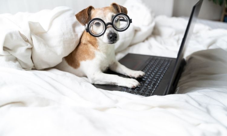 Les nouveautés sur Benevolt pour les associations